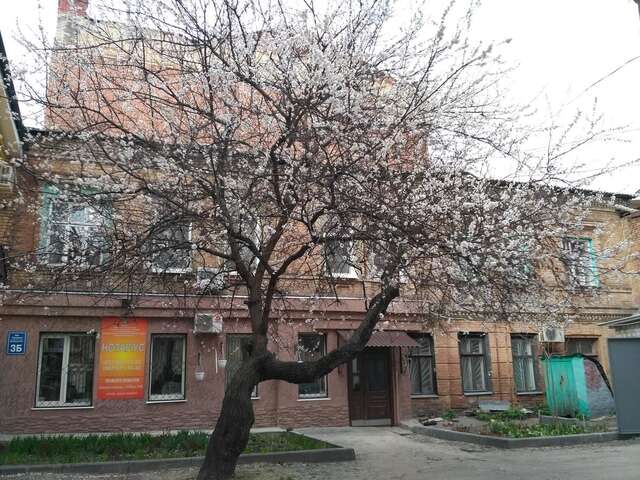 Апартаменты A cozy wooden studio in a heart of Kharkiv Харьков-4